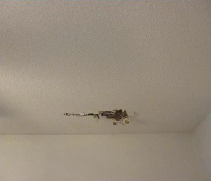 Hole in ceiling from tree.